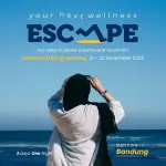 28 Your Next Wellness Escape ( Retreat )